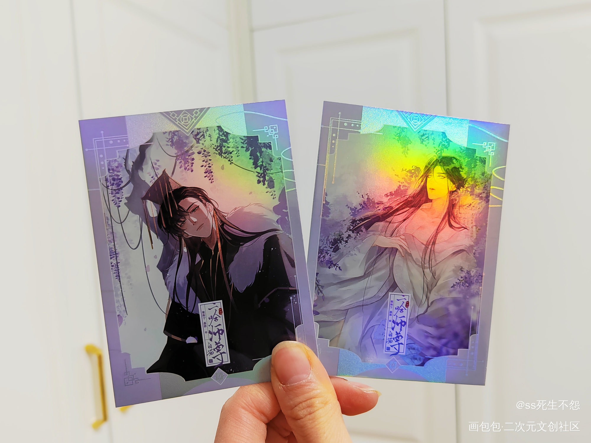 _二哈和他的白猫师尊绘画作品