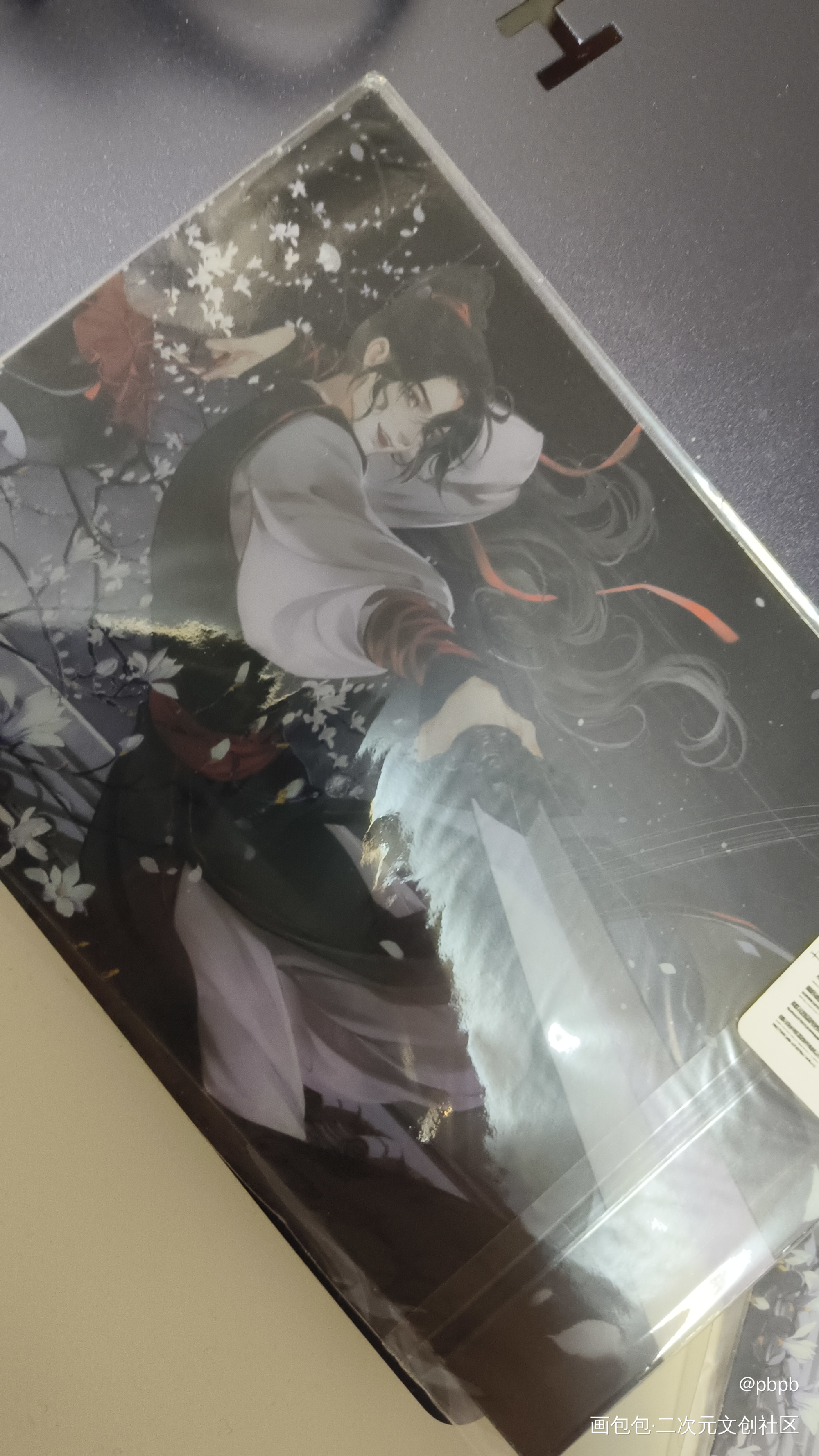 鲜衣怒马少年羡_魔道祖师授权返图绘画作品