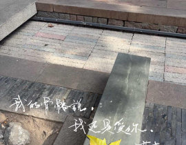 “我的骨骼说，我还是爱你”_绘画作品