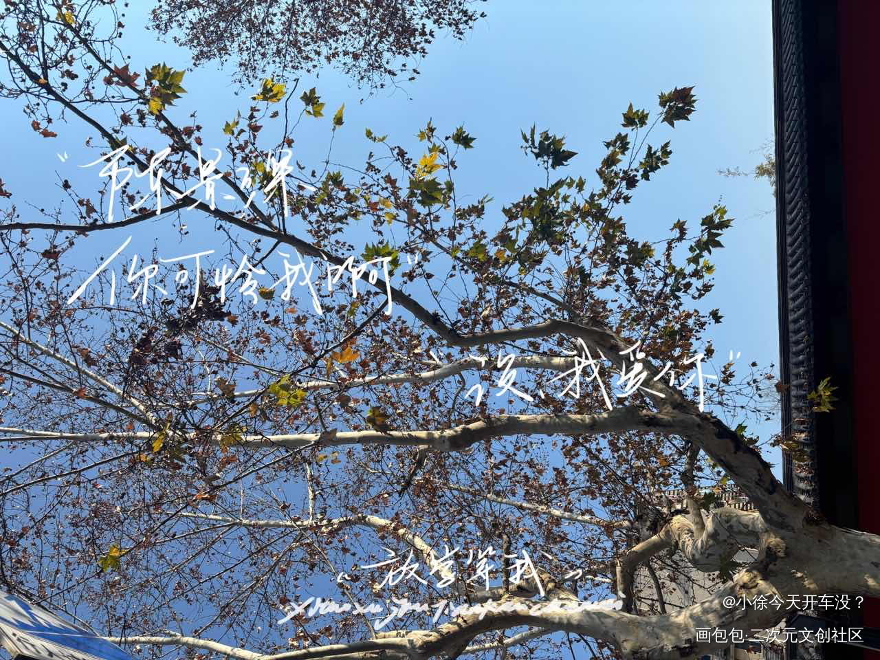 “陈景深，你可怜我啊”_放学等我陈景深喻繁手写绘画作品
