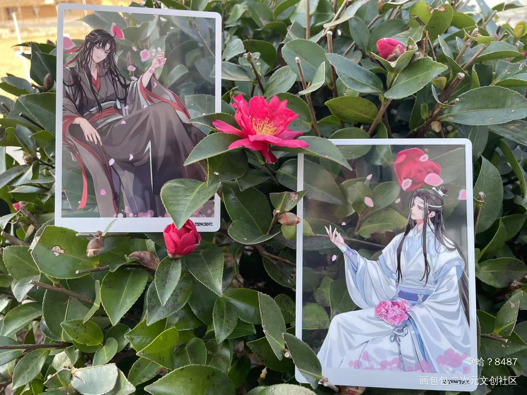 _魔道祖师忘羡蓝忘机·魔道祖师魏无羡·魔道祖师墨香铜臭绘画作品