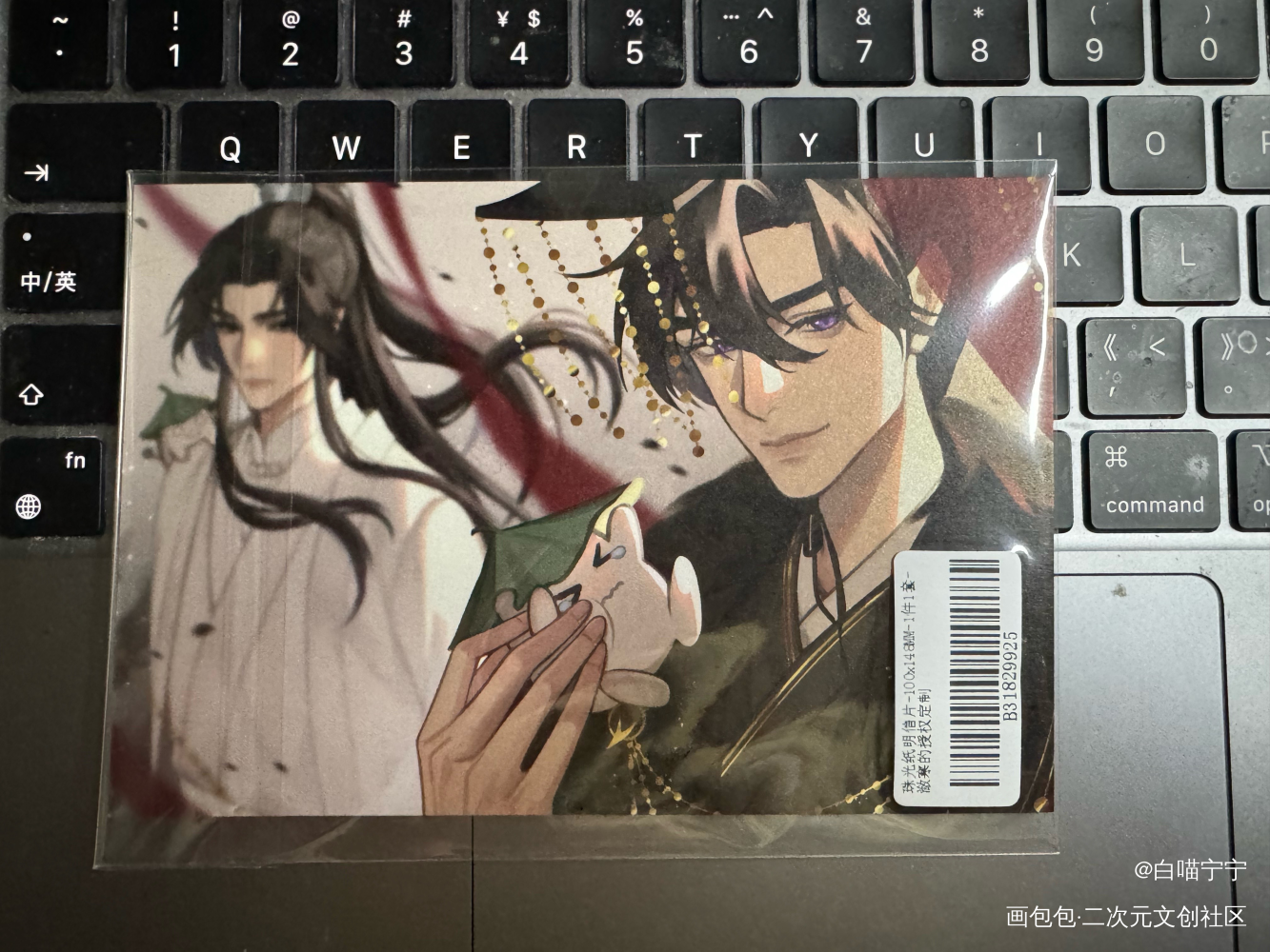 _二哈和他的白猫师尊授权返图绘画作品