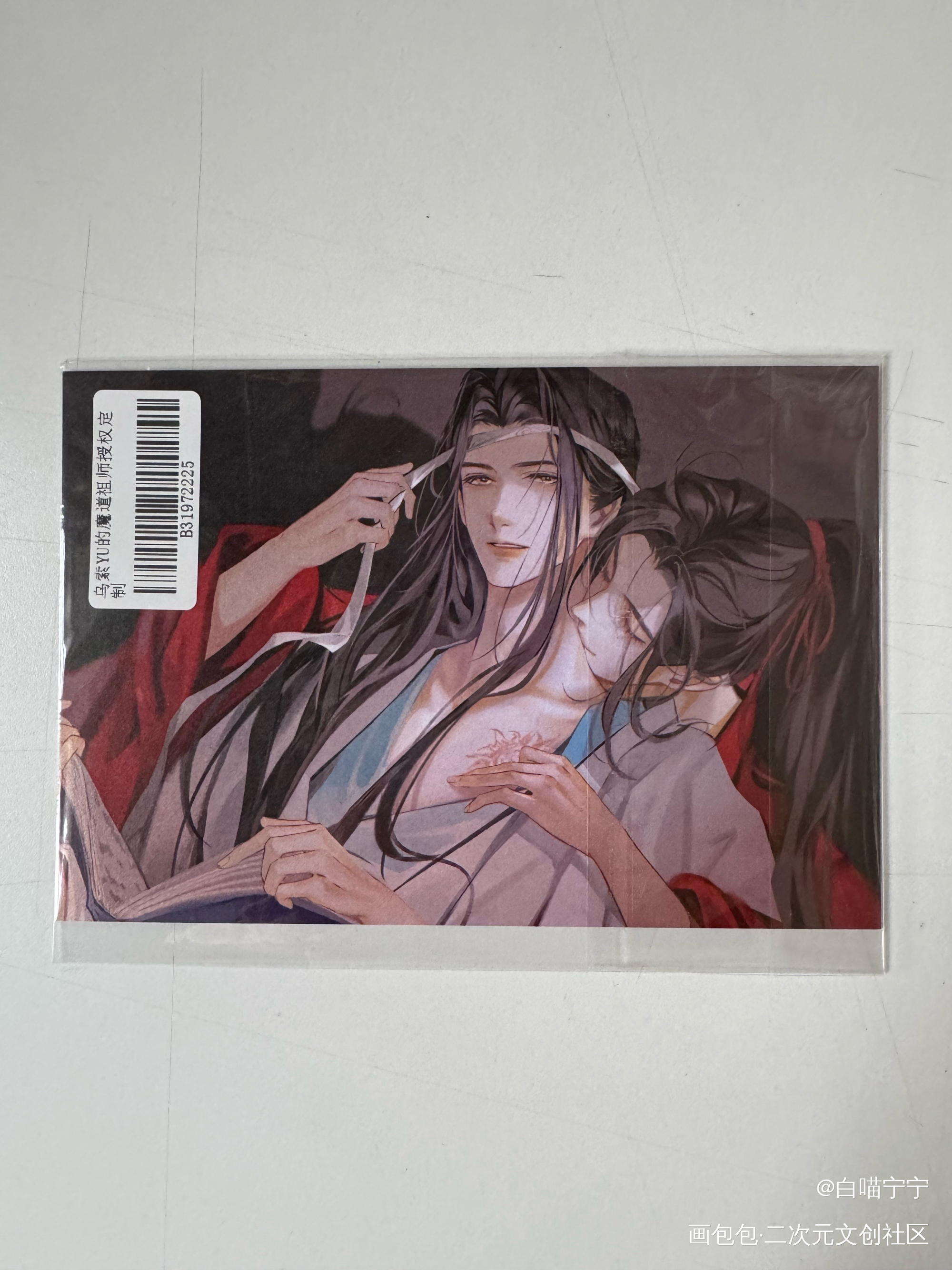 _魔道祖师授权返图绘画作品