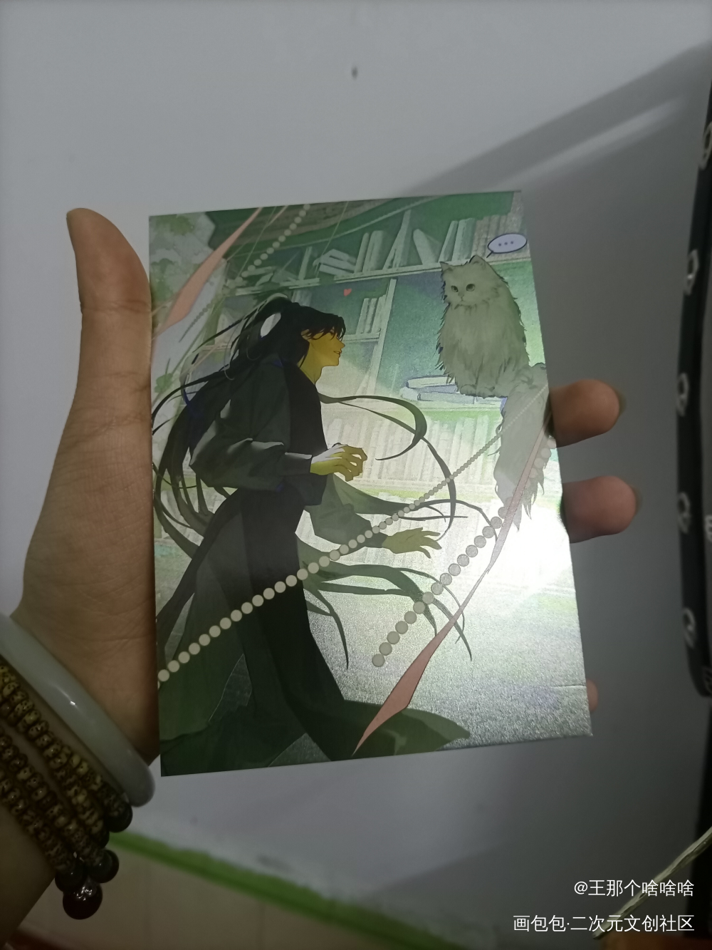 _二哈和他的白猫师尊无料返图绘画作品