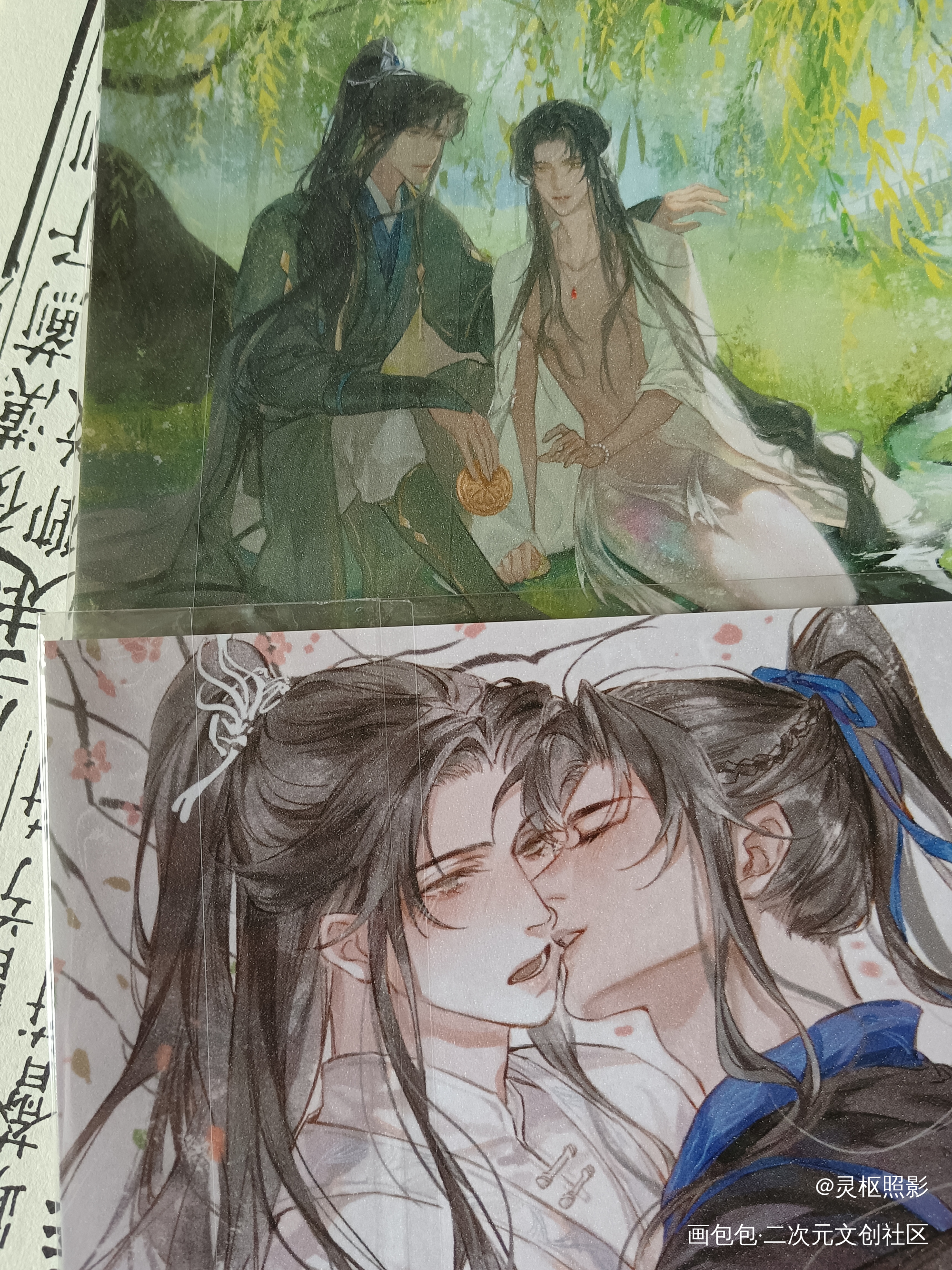 _二哈和他的白猫师尊无料返图绘画作品