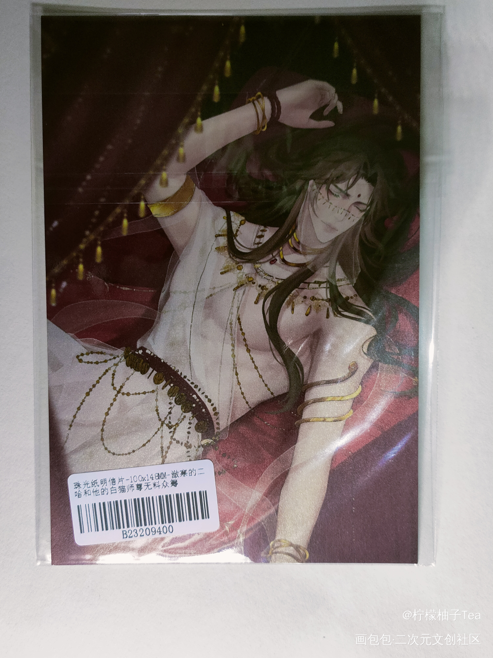 _二哈和他的白猫师尊无料返图周边秀楚晚宁·二哈和他的白猫师尊绘画作品