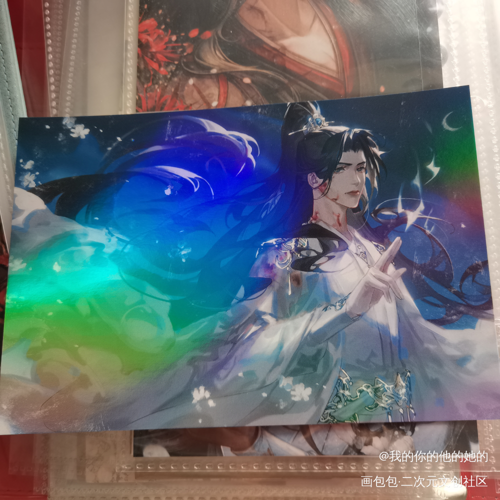 _二哈和他的白猫师尊授权返图绘画作品