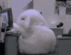 _绘画作品