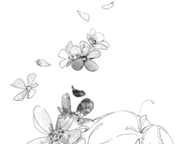 我回来啦！_绘画作品