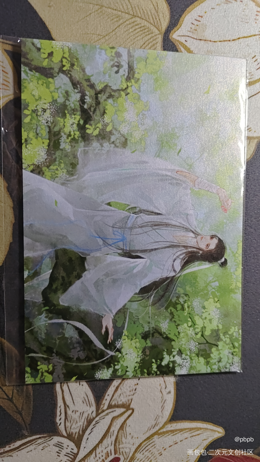 金枝玉叶_天官赐福授权返图绘画作品