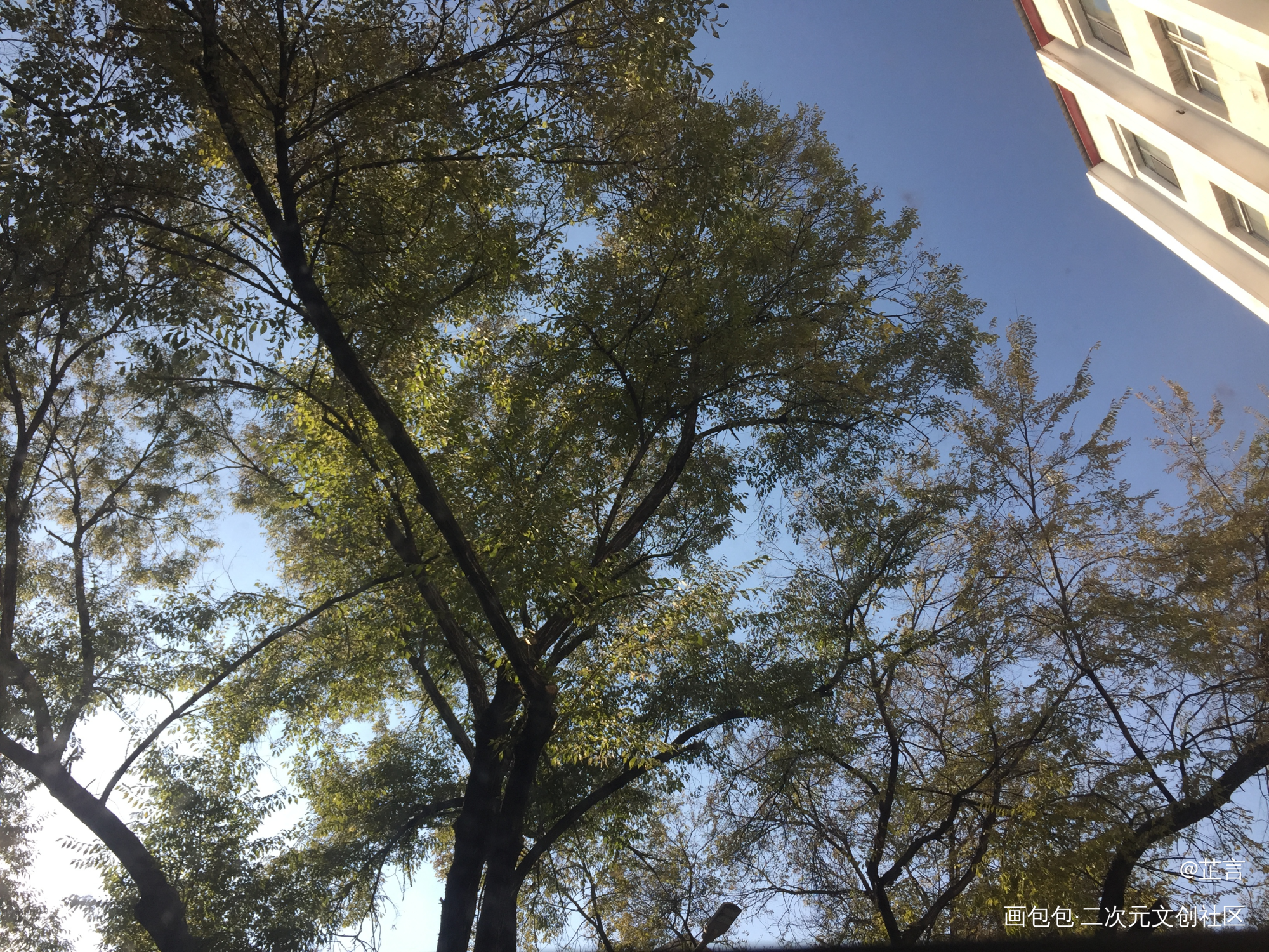 内容在内 谢谢观看_写文绘画作品