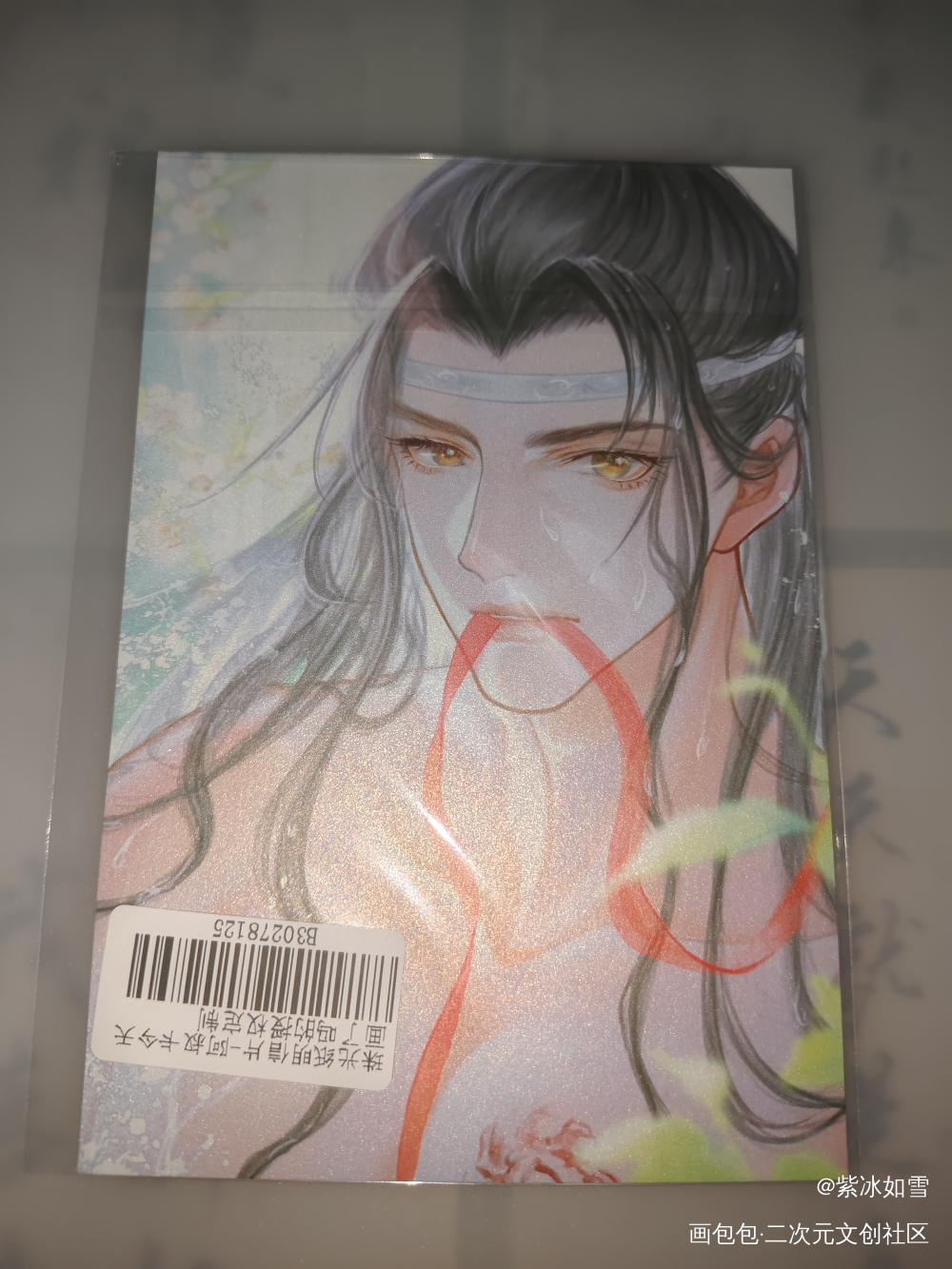 _魔道祖师授权返图绘画作品